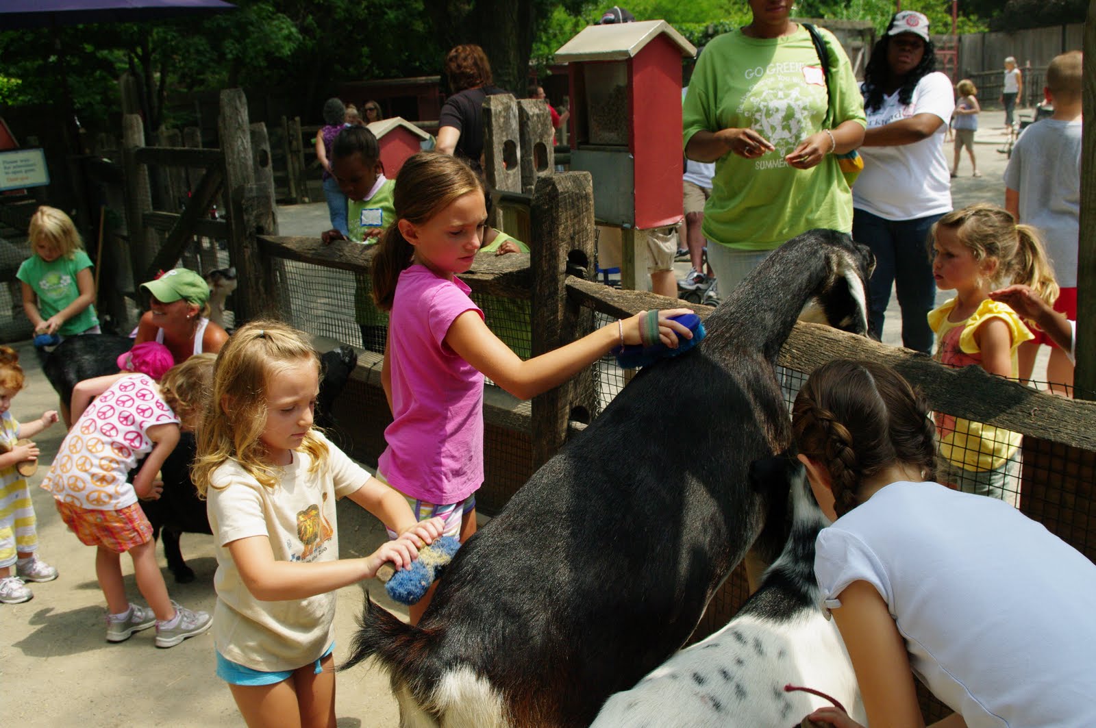 Our trip to the Philadelphia Zoo Pieces of a Mom