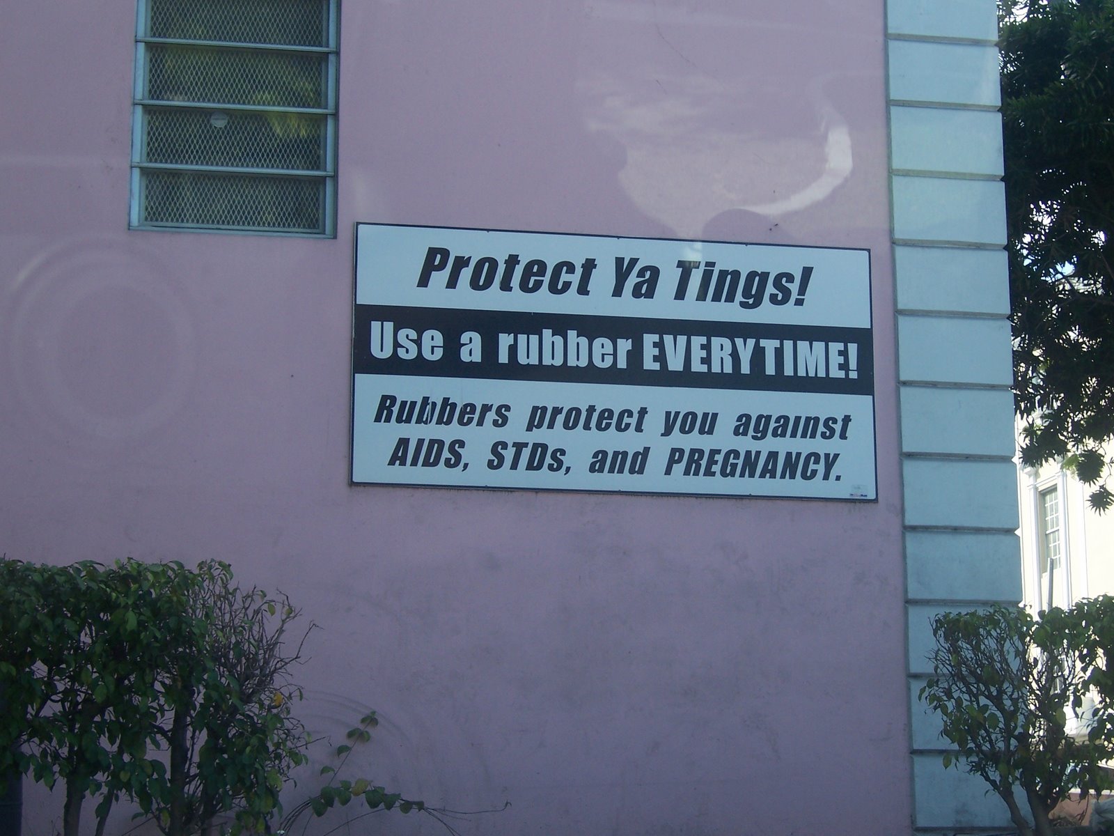 [Protect+Ya+Tings!.JPG]