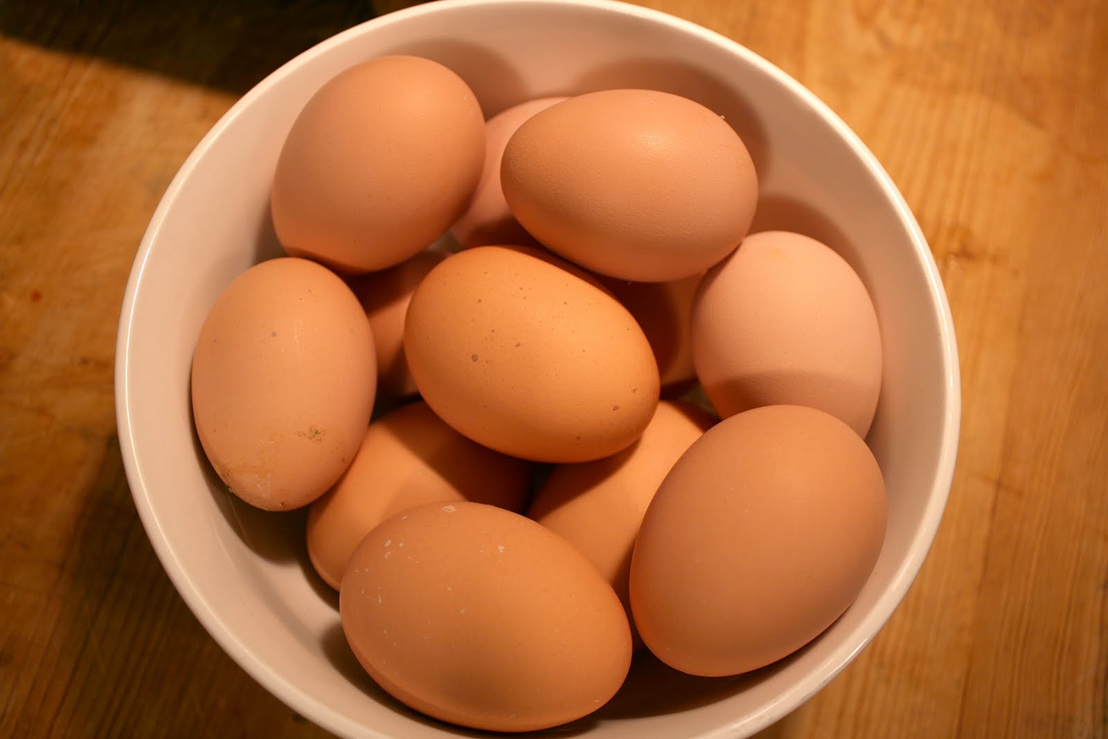 Timeless Foods How to Store Eggs Without Refrigeration