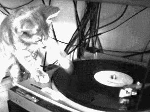 dj-pussy.gif dj-pussy.gif