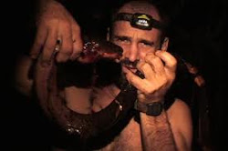 ed stafford