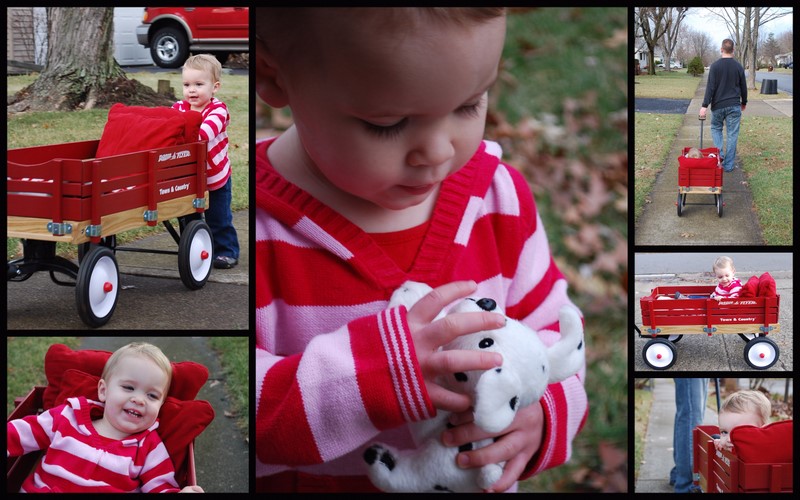 [You+Can't+Ride+in+my+Little+Red+Wagon.jpg]
