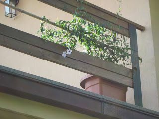 Il giardino sul lago: La quinta estate