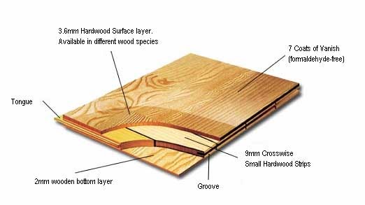Living Stingy: Engineered Hardwood Floors block diagram using latex 