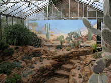 Mural in Cactus House, University of Durham Botanic Garden