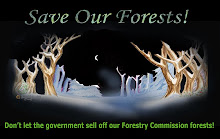The Government wants to sell off our forestry commission forests! This must be stopped.