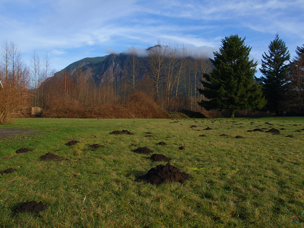 Shutter Eye: Of Mountains and Mole Hills
