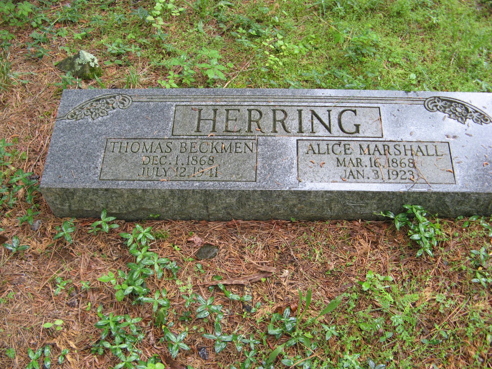 Family Tree Herring Family Cemetery