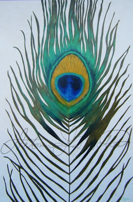 LaMotta Art Oil: Peacock Feather