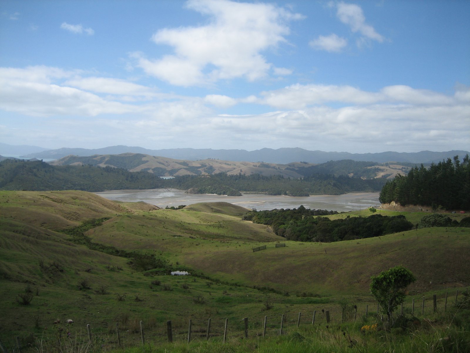 [Imagen+019.jpg]