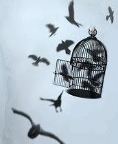 what happened to fly like a bird 39