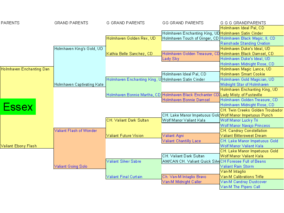 [Essex+Family+Tree.png]
