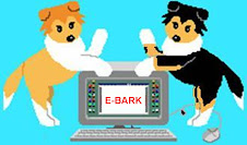 E-Bark us at KeyWestCollies@aol.com