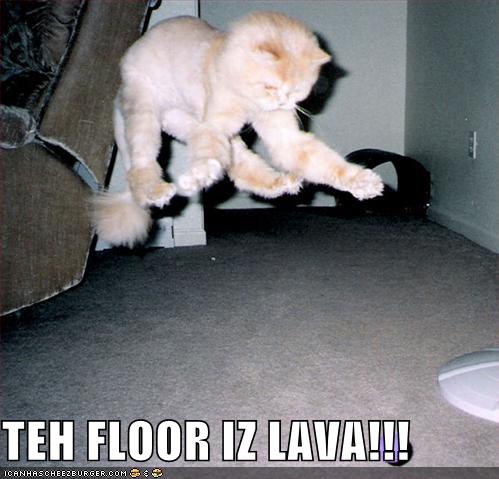 Forum Image: http://4.bp.blogspot.com/_oLZ35acxrPo/TQZmHxM4uWI/AAAAAAAAAEw/k-6Rr6rki8M/s1600/128691534842632313.jpeg