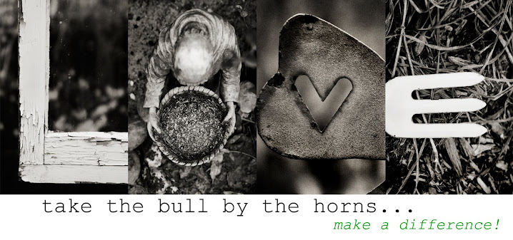 Take the Bull by the Horns
