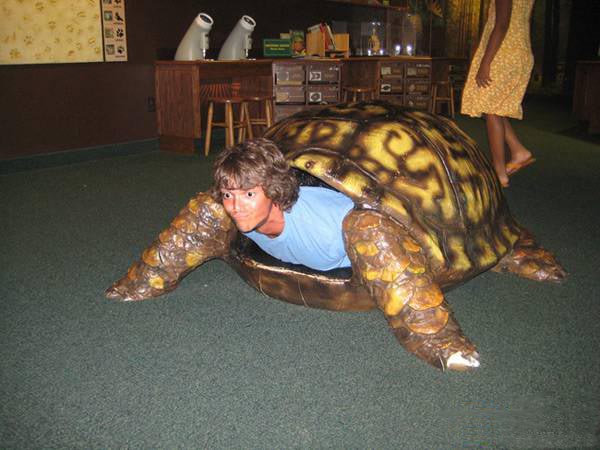 tortuga1.jpg