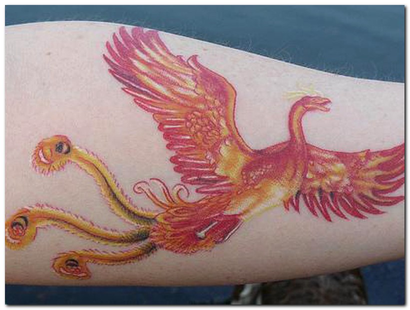 5. The Mythology of the Phoenix Tattoo - wide 7