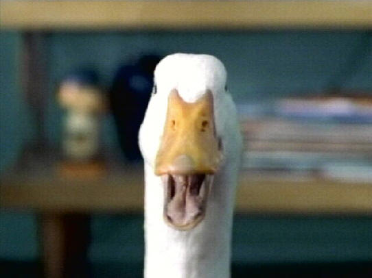 [aflac-duck.jpg]