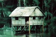 Casa no Rio Moa