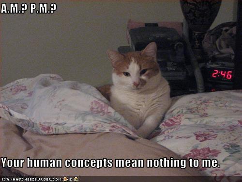[20090920-032226_funny-pictures-cat-wakes-you-at-3-am.jpg]