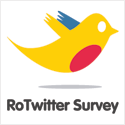RoTwitter Survey