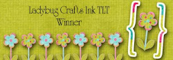 I was a Blog Hop Winner February 2012 and winner of May 2012 "Birthdays" challenge