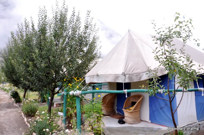[sangla-camp.JPG]