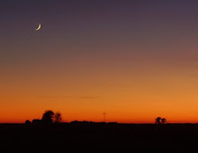 Cielo del lugar