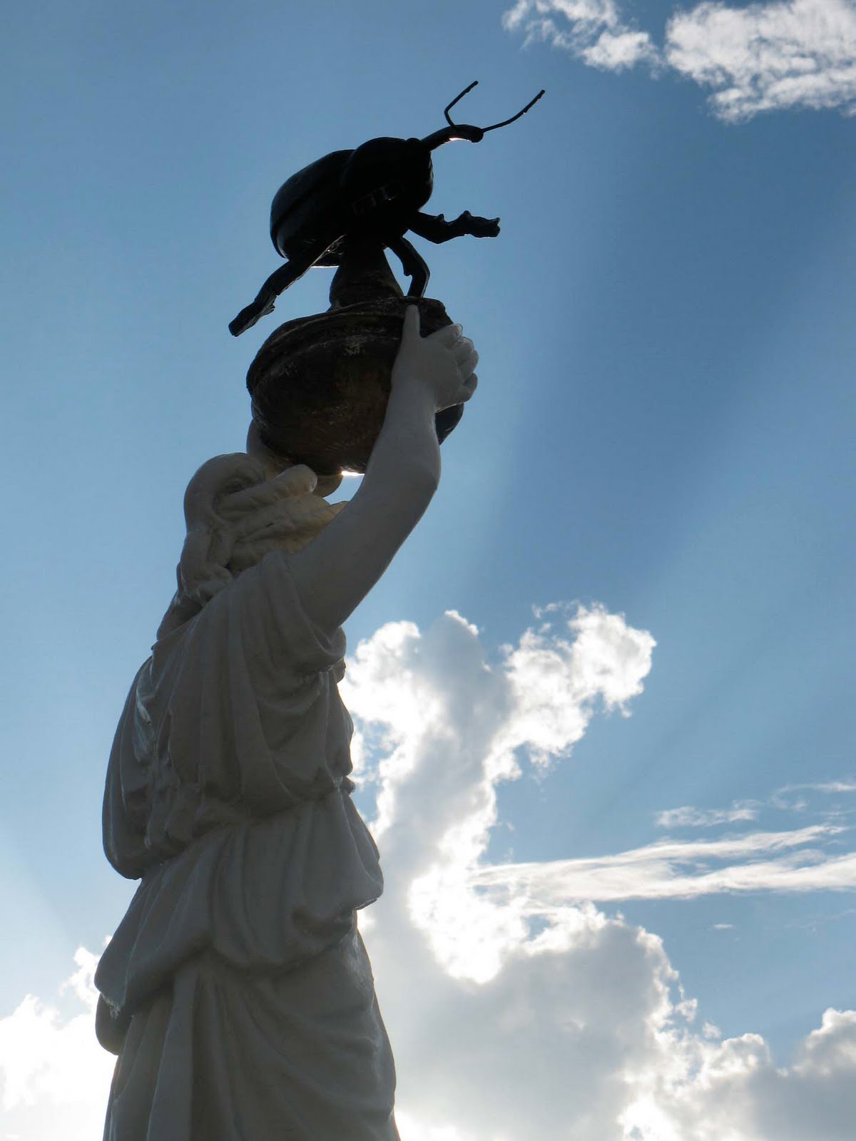 Eccentric Roadside Weevil, weevil rock you Enterprise, Alabama's Boll