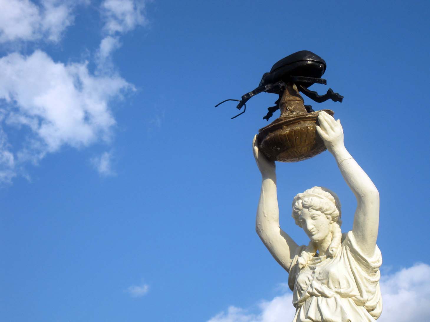 Eccentric Roadside Weevil, weevil rock you Enterprise, Alabama's Boll