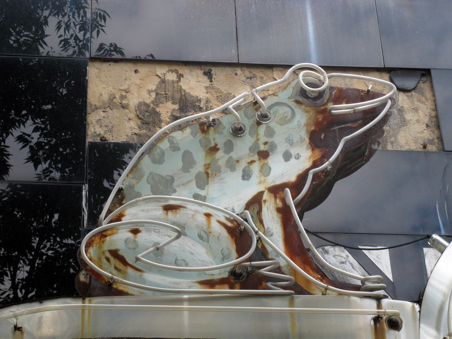 Eccentric Roadside Pardon me Roy, is that the cat that ate your new