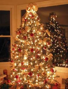 Christmas: Christmas Tree