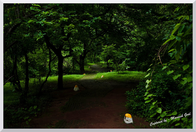 Mahim Nature Park Review Mahim Nature Park Review