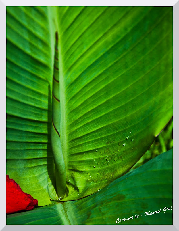 Mahim Nature Park Hypothesis Mahim Nature Park Hypothesis