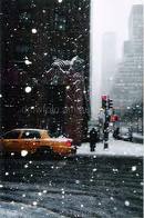 [NY+snow.jpg]
