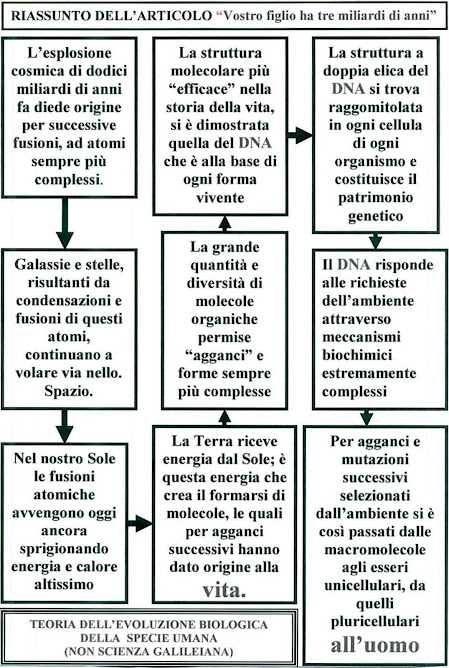 26 - RIASSUNTO EVOLUZIONE BIOLOGICA