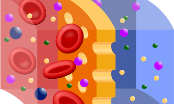 Domestic Hemodialysis Presentation
