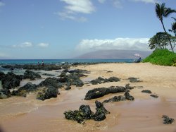 [kihei_beach_250.jpg]