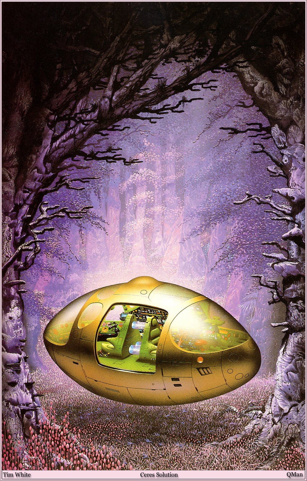 [QMan_TW_Chi_2276_Ceres_Solution.jpg]