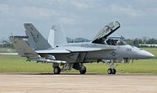 [hornet.JPG]