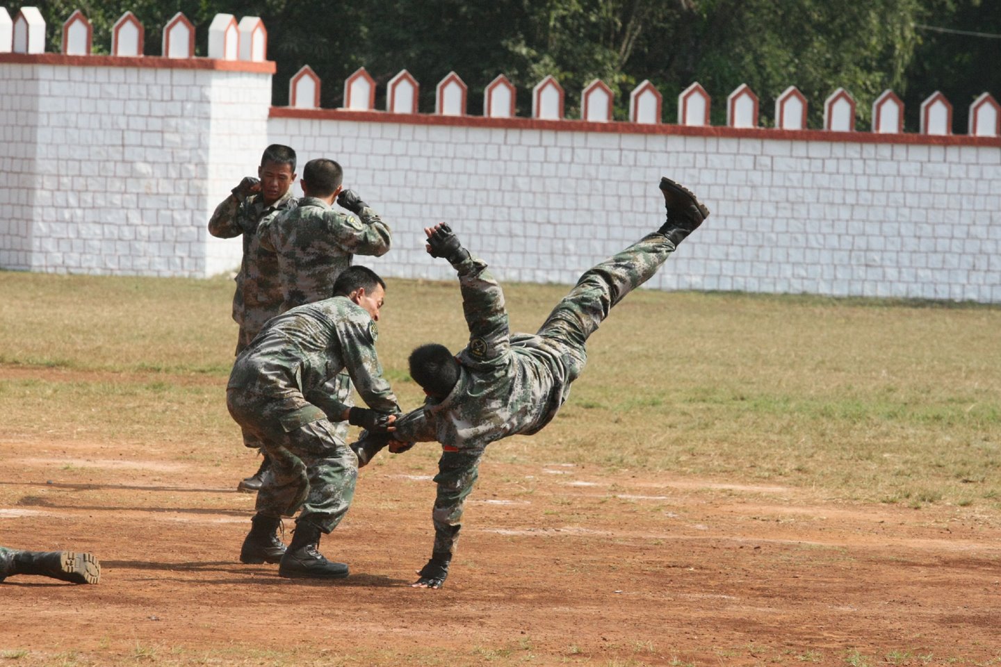 [SAT_6181-762213.JPG]