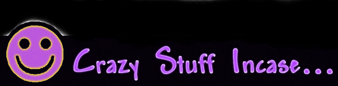 Crazy Stuff Incase