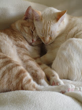 Brothers, Rusty and Sweet Pea ~~ They adore one another...