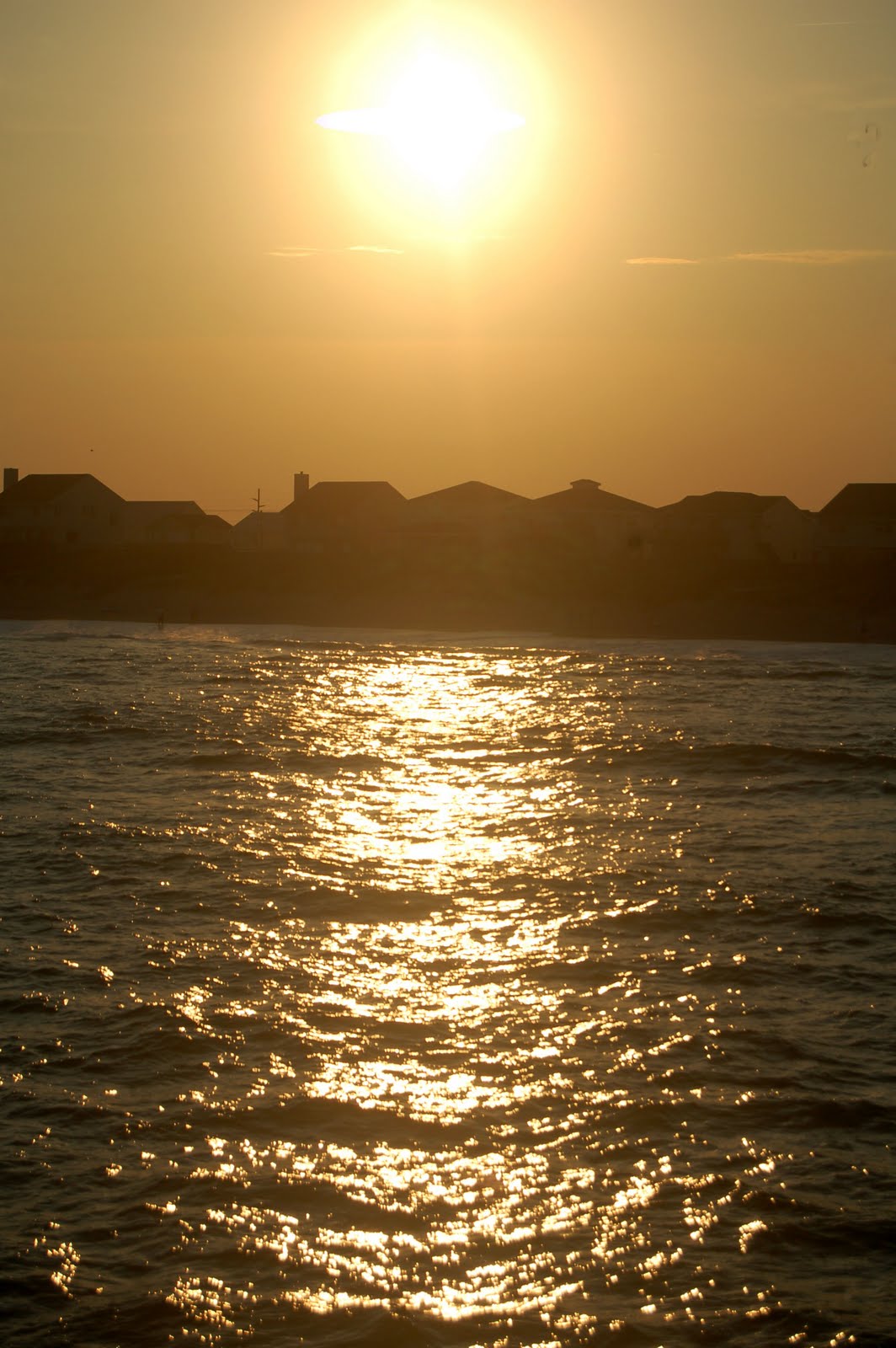 [DSC_0140.JPG]