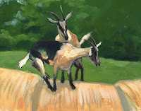 Zdepski's painting of two goats playing king of the hill, acrylic on d' arches
