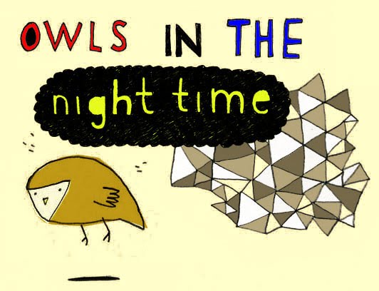 owls in the night time