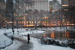 Duck Pond In Central Park