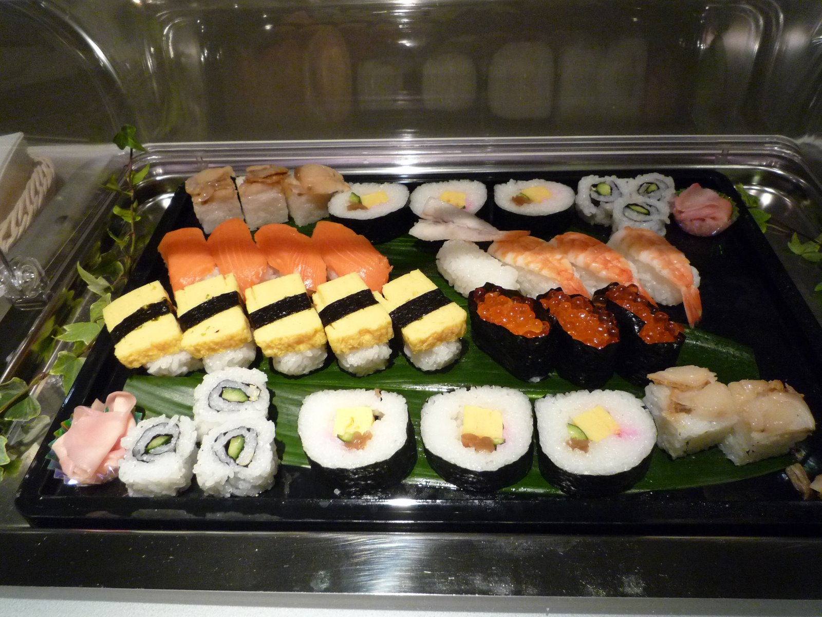 [P1080659.JPG]
