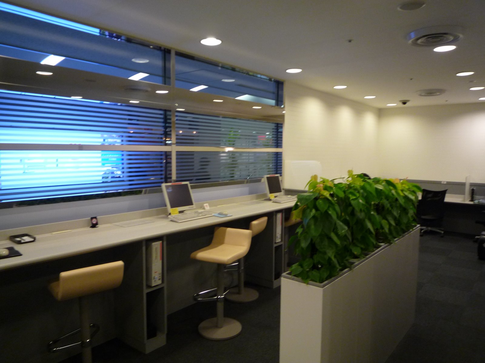 [P1120660.JPG]
