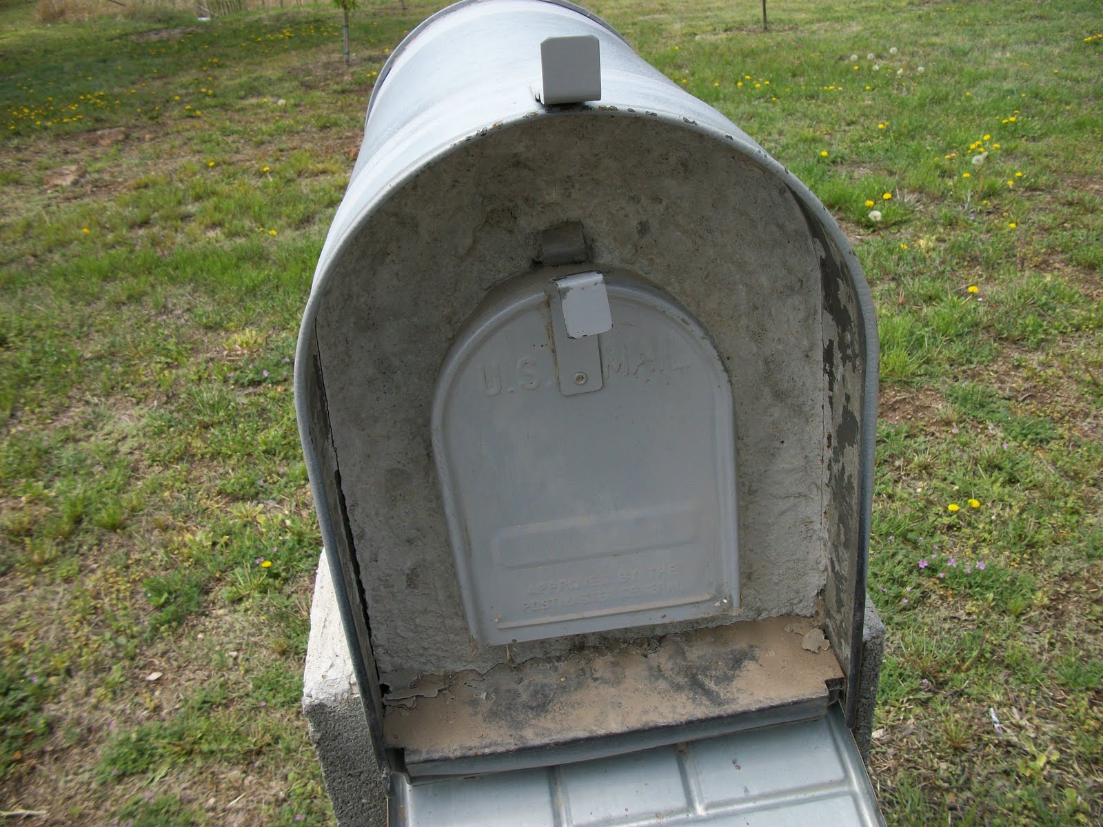 Crazy Texan Little kids, baseball bats, and mailboxes